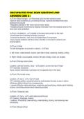 CBIS UPDATED FINAL EXAM QUESTIONS AND ANSWERS SURE A&period;pdf