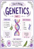 Study Guide Genetics &vert; VMBO Biology &vert; 2025&sol;2026