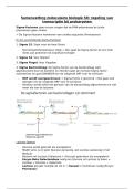 Samenvatting Moleculaire Biologie H8 &vert; Transcriptieregeling &vert; KU Leuven &vert; 2025&sol;26