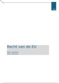 Samenvatting Recht van de Europese Unie &vert; UA &vert; 2025&sol;26