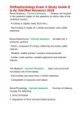 Pathophysiology Exam 4 Study Guide Q & As &lpar;Verified Answers&rpar; 2026