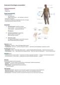 Zenuwstelsel &vert; Biomedisch &vert; HBO-Verpleegkunde &vert; InHolland &vert;