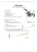Celbiologie B2&colon; Lichtmicroscoop &vert; UHasselt &vert; 2025&sol;26