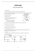 Celbiologie B4&colon; Fluorescentiemicroscopie &vert; UHasselt &vert; 2025&sol;2026