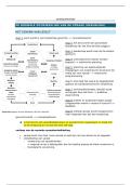 Spraakpathologie & Fonologische Stoornissen &vert; Hogeschool Gent &vert; 2025&sol;26