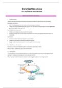 Samenvatting Genetica en Genomica H12&colon; Kanker & Celcyclus &vert; UHasselt &vert; 2025&sol;26