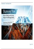 Diamond Boy Visual Plot Analysis
