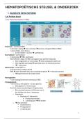 Hematologie&colon; Vandenberghe &plus; Tousseyn alles samengevat &lpar;NIEUW curriculum&rpar;