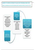 Summary- SAICA professional code of conduct 