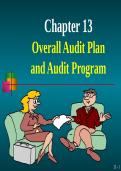 The AUDIT PLAN