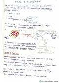 EXCRETION AND OSMOREGULATION HANDWRITTEN NOTES GRADE 11&12