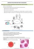 Samenvatting Dierkunde Practicum &vert; Embryologie Zeester &vert; KU Leuven &vert; 2025&sol;26