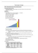 Psychogerontologie - RUIME samenvatting 