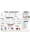 Reaction Mechanism 