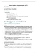 Samenvatting Grondwettelijk recht &vert; Sottiaux &vert; KU Leuven &vert; 2025&sol;26