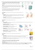 Neurobiology DT1 - Electrical Properties of Neurons &lpar;Purves Neuroscience&comma; 6th ed&period; &plus; Tutorials&comma; UU Biology&rpar;