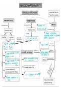 innate immune system 