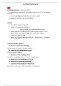 &lpar;schattingen &&rpar; plaatsbeschrijving 4 - samenvatting &lpar;25-26&rpar;