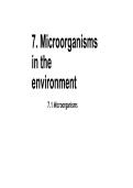 Biology &vert; Microorganisms in the Environment &vert; VMBO &vert; 2025&sol;2026