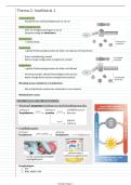 Biologie 3e Graad &vert; Celmetabolisme & Fotosynthese &vert; SJCA  &vert; 5de middelbaar 2u &vert; 3de graad