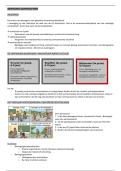 Beweging Samenvatting &vert; VIVES &vert; 2025&sol;2026