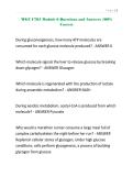 WGU C785 Module 6 Questions and Answers 100&percnt; Correct&period;