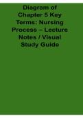 Diagram of Chapter 5 Key Terms Nursing Process Lecture Notes Visual Study Guide 2025&sol; 2026 ADPIE Concept Map Clinical Nursing Exam Prep
