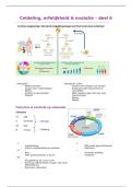 Heel celbio - 1e bach kine 2026