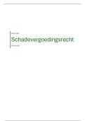 Schadevergoedingsrecht &vert; 2e Bachelor &vert; Prof&period; Kruithof &vert; Universiteit Gent &vert;