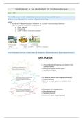 Rooms-katholieke godsdienst&vert; Arteveldehogeschool &vert; 2025&sol;26
