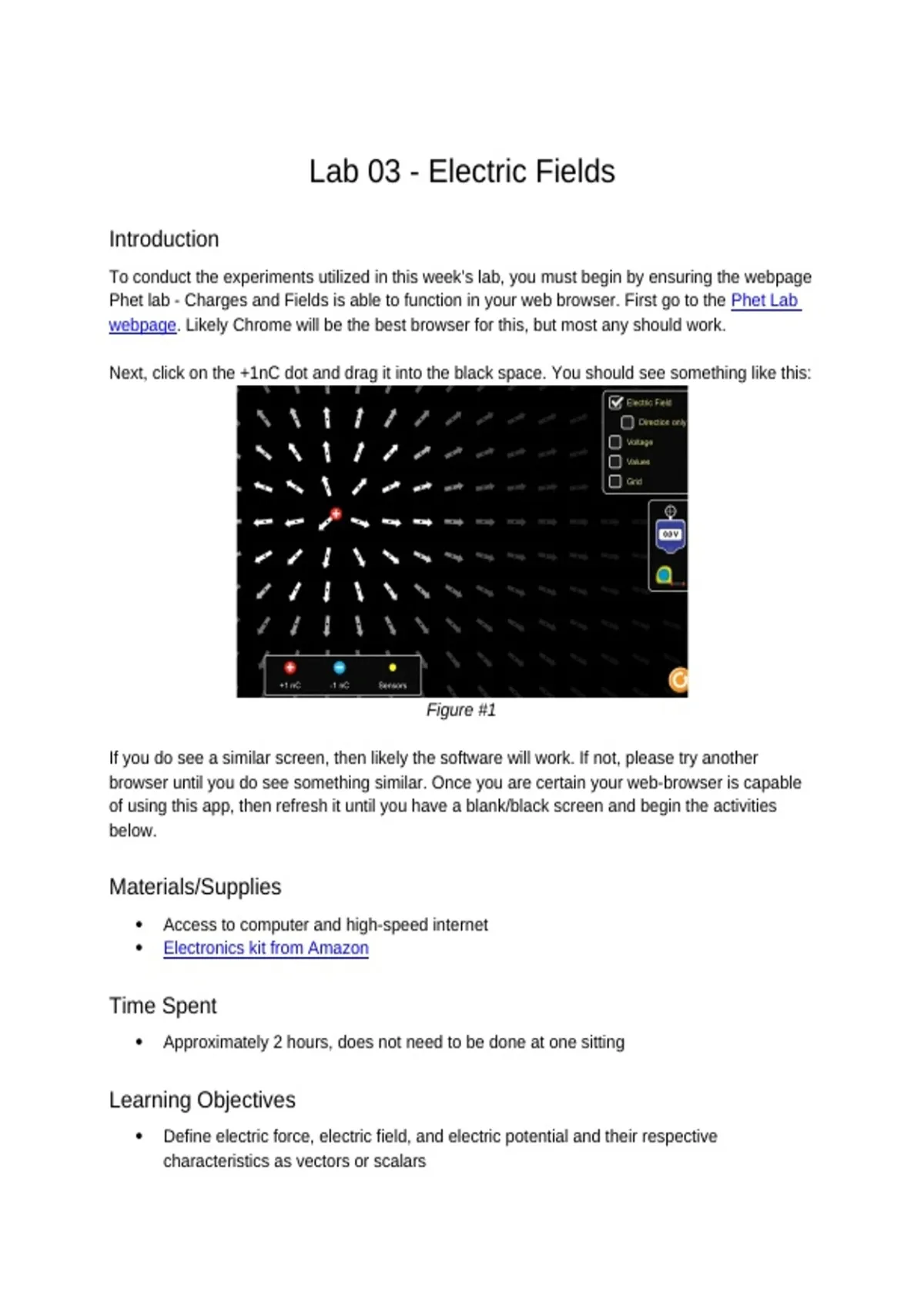 Lab 03 – Electric Fields | Physics Laboratory Report | 2026–2027 ...