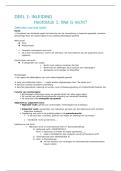 Recht en Onderneming &vert; Inleiding Recht &vert; Universiteit Antwerpen &vert; 2025&sol;26