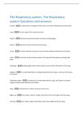 The Respiratory system&comma; The Respiratory&NewLine;system Questions and answers