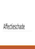 Presentatie over affectieschade