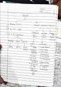 'About class 12 blood and plasma constituents  '