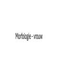 Morfologie Vrouw &vert; Ontwikkeling en voortplanting &vert; KU Leuven &vert; 2025&sol;26