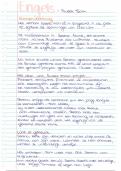 HAVO Engels boekverslag ''Sweet Tooth"