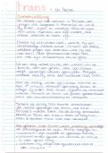 HAVO Frans Samenvatting ''Un secret''
