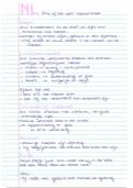 HAVO Nederlands Samenvatting ''Erik of het klein insectenboek''