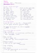 HAVO Nederlands - Formuleren
