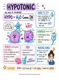 Hypotonic Solutions Nursing Study Guide & NCLEX Practice Questions &vert; Nursing Education &vert; 2026 Complete Review Bundle