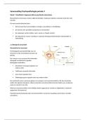 Samenvatting Psychopathologie &vert; Periode 3 &vert; Fontys &vert; 2025&sol;26
