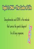 DNA&comma; Meiosis & Genetics - Grade 12 &lpar;CAPS&rpar;