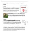 Samenvatting leerpad sperma-onderzoek &vert; Voortplanting en verloskunde &vert; Hogeschool Gent &vert; 2025&sol;26