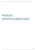 Module Interculturele Zorg &vert; KU Leuven &vert; 2025&sol;26