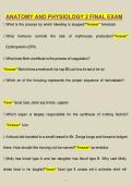 Anatomy and Physiology 2 Final Exam &vert; A&P II Questions & Answers &vert; Comprehensive Study Guide &vert; Verified Solutions & Exam Review