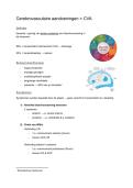 Neurokinesitherapie 1&colon; Klinische Neurologie &lpar;pathologie&rpar; &vert; UA &vert; 2025&sol;26