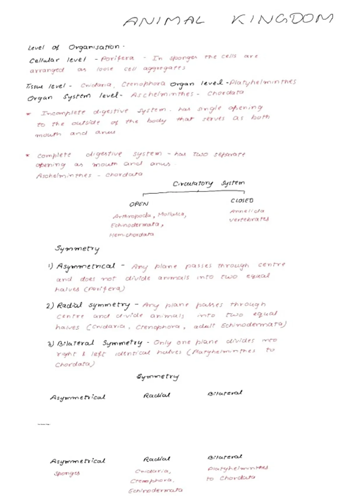 Class 11 Zoology Animal Kingdom Notes | Easy Handwritten Notes with ...
