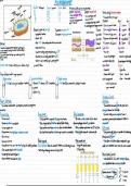 WJEC A-Level Biology Microbiology Summary&sol;Mindmap sheet download pdf