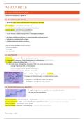 Wiskunde 1B &vert; didactiek &vert; Karel de Grote &vert; 2025&sol;26
